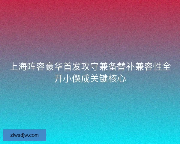 上海阵容豪华首发攻守兼备替补兼容性全开小偰成关键核心